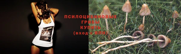 круглые Алзамай