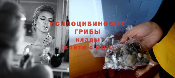 spice Алексин