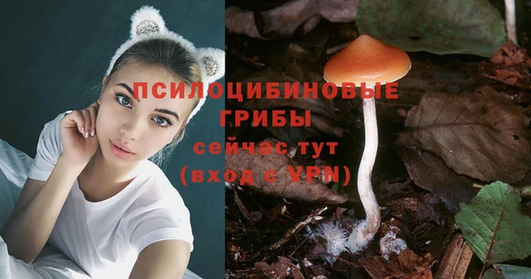 spice Алексин