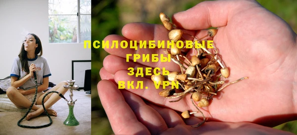 круглые Алзамай